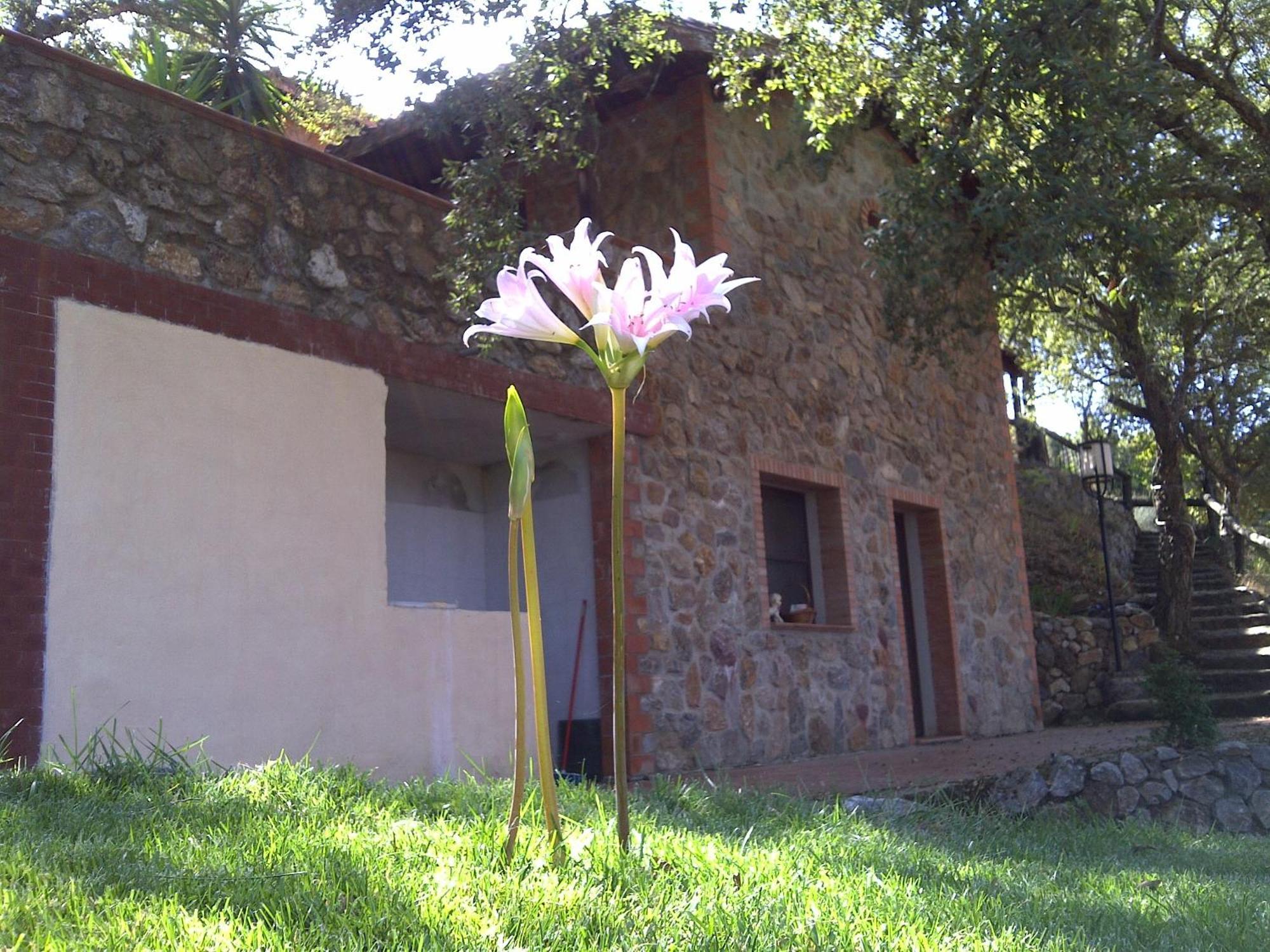 Hostal La Quercia Arbus Exterior foto
